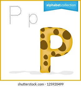 One letter of curve alphabet , alphabet collection