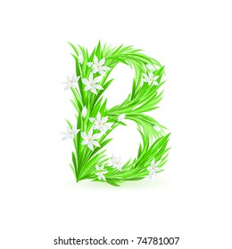 One letter of spring flowers alphabet - B. Illustration on white background