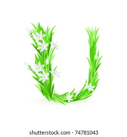 One letter of spring flowers alphabet - U. Illustration on white background