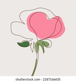 One line abstract art drawing close-up rose flower. Minimalistic style color image. Editable vector illustration EPS 10