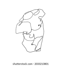 One line ancient greek sculpture. Greece mythology statue, hand drawn continuous line man torso. Vector design