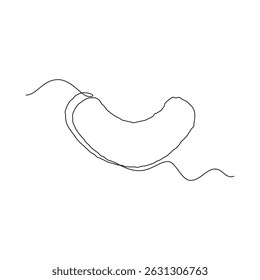 one line art Cashew Nut vector illustration. line art, one continuous line, simple, hand drawn and sketch style. for icons, symbols, signs or logos