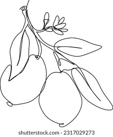 una línea de arte. una línea continua. una rama arbórea con frutos colgados