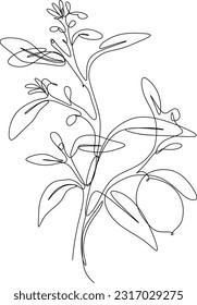 one line art. one continuous line. a tree branch with fruits hanging on