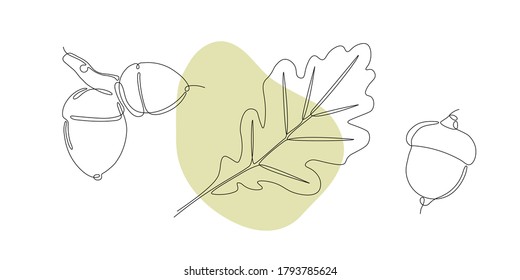 One line art leaves and acorn. Single line art. Nature illustration for design