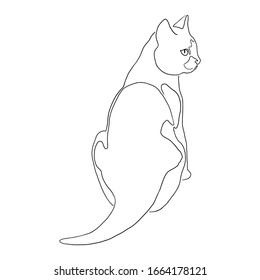 One line art pet, silhouette of cat. Hand drawn  outline drawing vector illustration