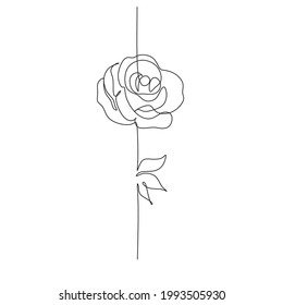 One line art rose flower