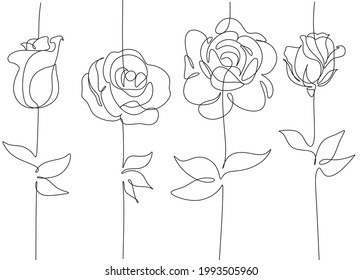One line art rose flower