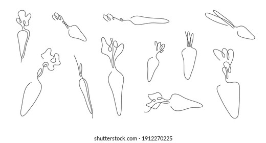 One line art style carrot. Abstract creative food in minimalism design. Hand drawn vector illustration. 