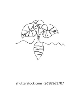 one line art Taro Root or Talas Tuber vector illustration. line art, one continuous line, simple, hand drawn and sketch style. for icons, symbols, signs or logos