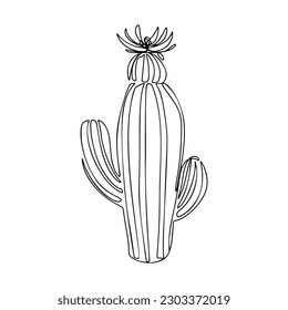 One Line Cactus Drawing, Continuous modern illustration