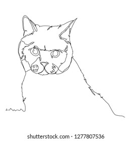 One line cat. Animal vector print 