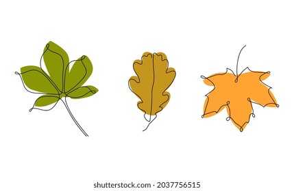 One line chestnut  maple  oak leaves  Graphics   illustrations