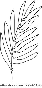 Hojas de boho continuas de una línea, arte de dibujo de una sola línea, arte de planta boho, hojas botánicas aisladas, diseño de arte simple, línea abstracta, vector