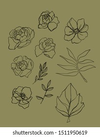 One line continuous botanic elements. Flowers drawn in graphic minimalism style. 