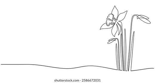 One line continuous daffodils. Flowers concept banner in line art hand drawing style. Outline vector illustration.