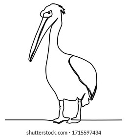 one line continuous drawing big pelican