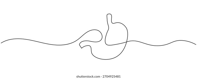 One line continuous drawing of stomach human organ icon vector. health, wellness, and medical symbol. vector illustration.