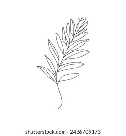 Una línea de dibujo continuo hoja vectorial y hoja de palmera. Moderno arte de una sola línea, contorno.