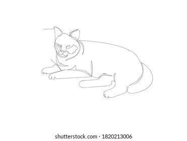 One line continuous drawning of resting cat for cat logo,advertising,background,greeting card,animals illustration,cats poster,banner,pattern,graphic design,books illustration,clip art.