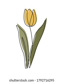 Una línea continua de flor, arte de dibujo de una sola línea, hojas tropicales, planta botánica aislada, diseño de arte simple, línea abstracta, vector para marco, diseño de moda, imágenes web, empaque