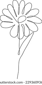 One line continuous flower, single line drawing art, flower art, botanical flower isolated, simple art design, abstract line, vector