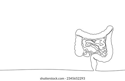 Intestinos continuos de una línea. El concepto de banner de salud de arte en línea. Dibujado a mano, ilustración del vector de contorno.