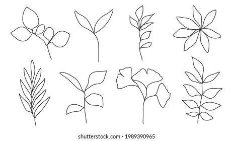 One line continuous of leaves, botanical plant set isolated, simple art design, abstract