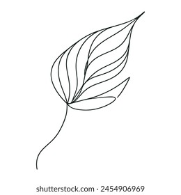 One line continuous of leaves, single line drawing art, tropical leaves, abstract line, vector