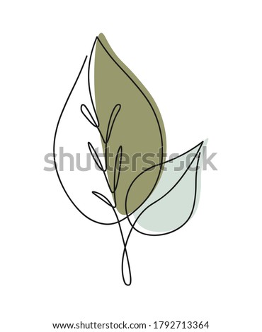 One line continuous of leaves, single line drawing art, tropical leaves,  botanical leaf isolated, simple art design, abstract line, vector