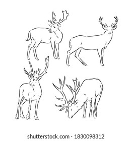 One line design silhouette of deer.hand drawn minimalism style.vector illustration, deer, vector sketch illustration