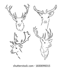 One line design silhouette of deer.hand drawn minimalism style.vector illustration, deer, vector sketch illustration