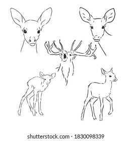 One line design silhouette of deer.hand drawn minimalism style.vector illustration, deer, vector sketch illustration