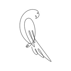 One Line Design Silhouette Of Parrot.hand Drawn Minimalism Style.vector Illustration