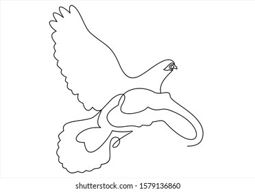 One line dove flies design silhouette. vector illustration