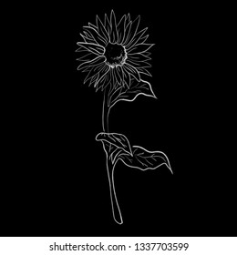 one line draw sun flower vector illustration 
