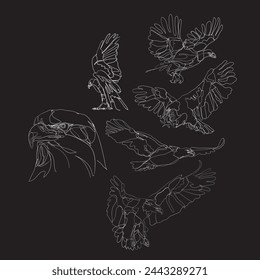 one line drawing, abstract eagle