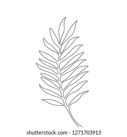 One line drawing areca leaf. Continuous line exotic tropical plant.