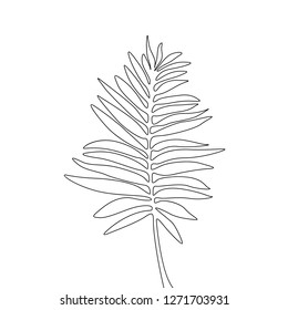 One line drawing areca palm leaf. Continuous line exotic tropical plant.