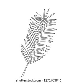 One line drawing areca palm leaf. Continuous line exotic tropical plant.