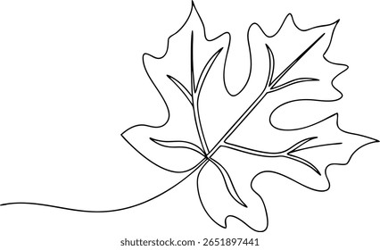 Desenho de uma linha de folha de bordo de outono - Natureza, estação de outono e arte botânica mínima
