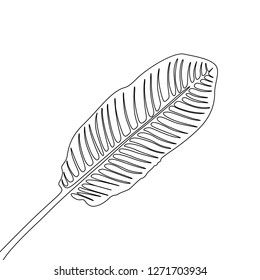 One line drawing banan leaf. Continuous line exotic tropical plant.