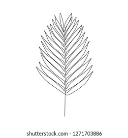 One line drawing bay leaf. Continuous line exotic plant.