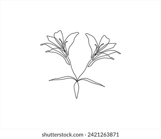 one line drawing of beautiful flower. continuous line art Free Vector set of flowers Plants one line illustration Minimalist Prints illustration