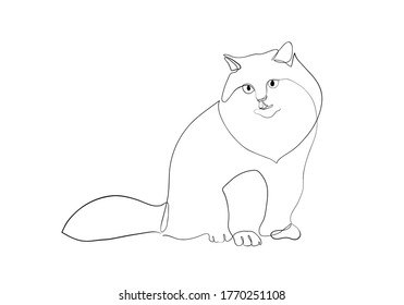 One line drawing of the cat in modern minimalistic style, Single line draw graphic design illustration