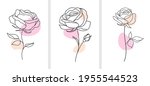 One line drawing. Decorative beautiful english garden rose with bud and color spots. Minimalist hand drawn sketch. Vector stock illustration.