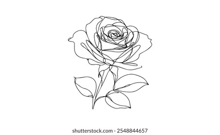 One line drawing. Decorative beautiful English garden rose with bud and color spots. Minimalist hand drawn sketch. Vector stock illustration.