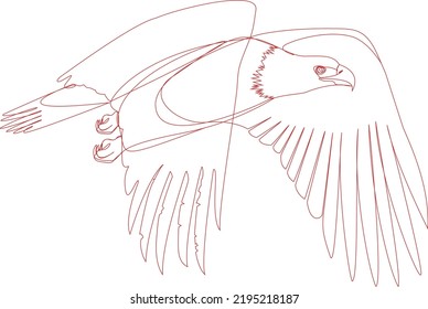 one line drawing of an eagle  flying