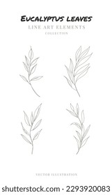 One line drawing of eucalyptus leaves. Hand drawn floral elements line art. Vector illustration