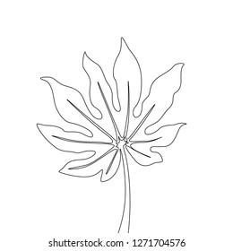 One line drawing fatsia japonica. Continuous line exotic tropical plant.